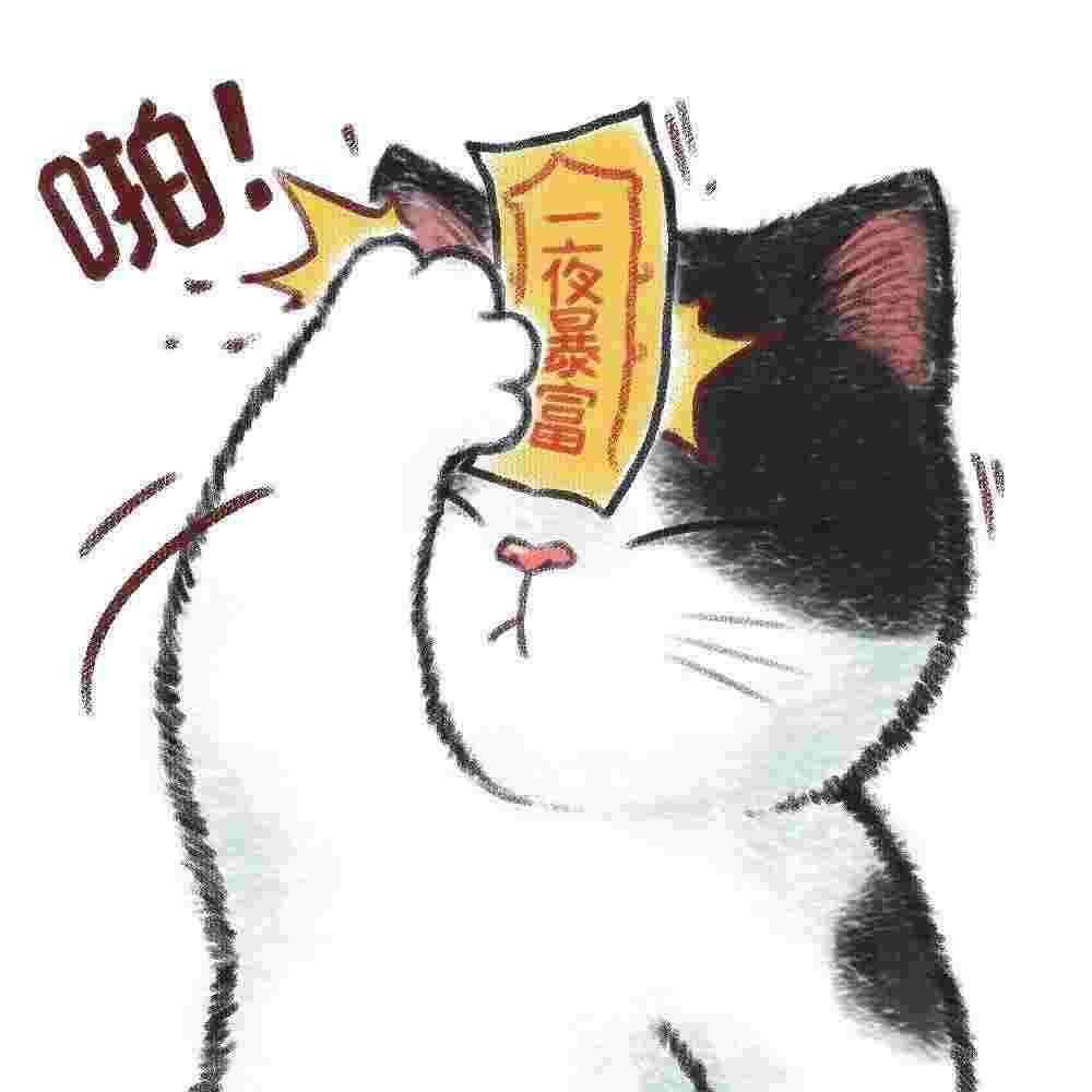 啊枫