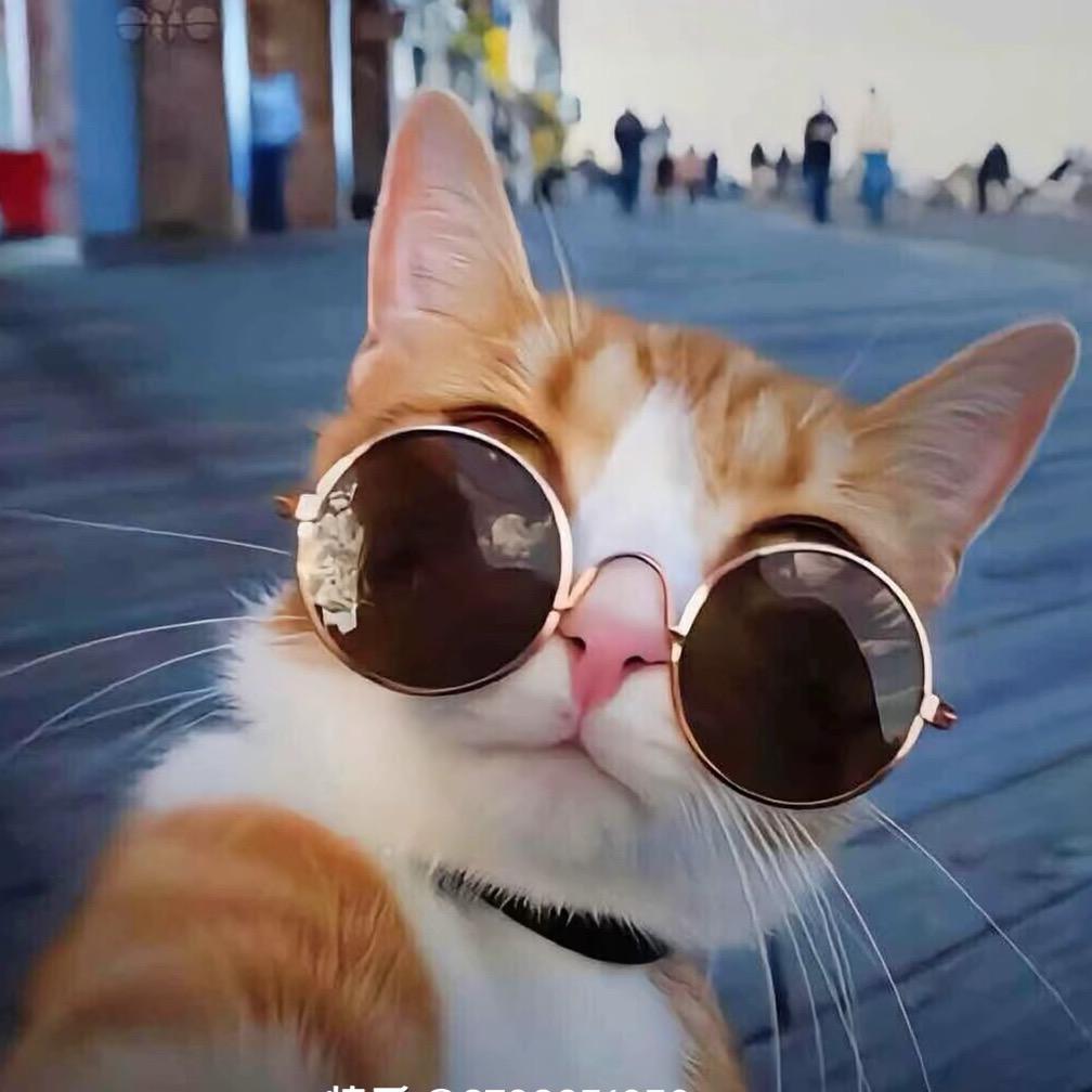 ꧁星河不知意☆☽