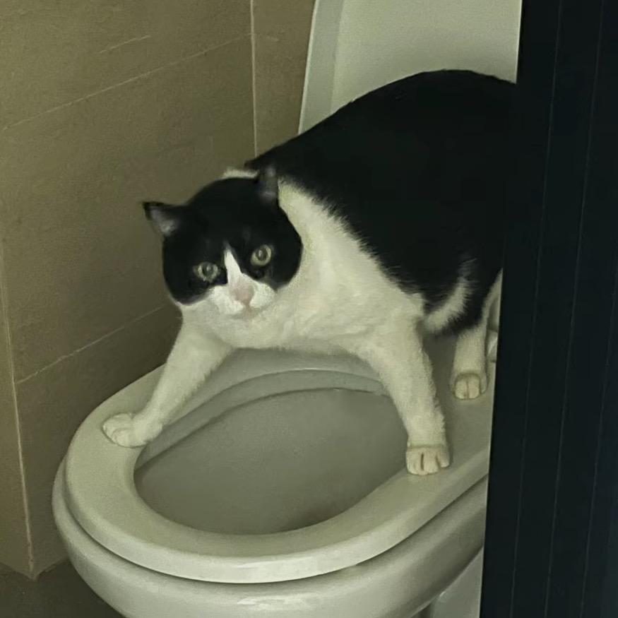 二三
