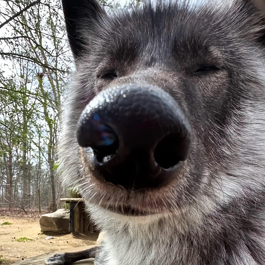 于ㅤ