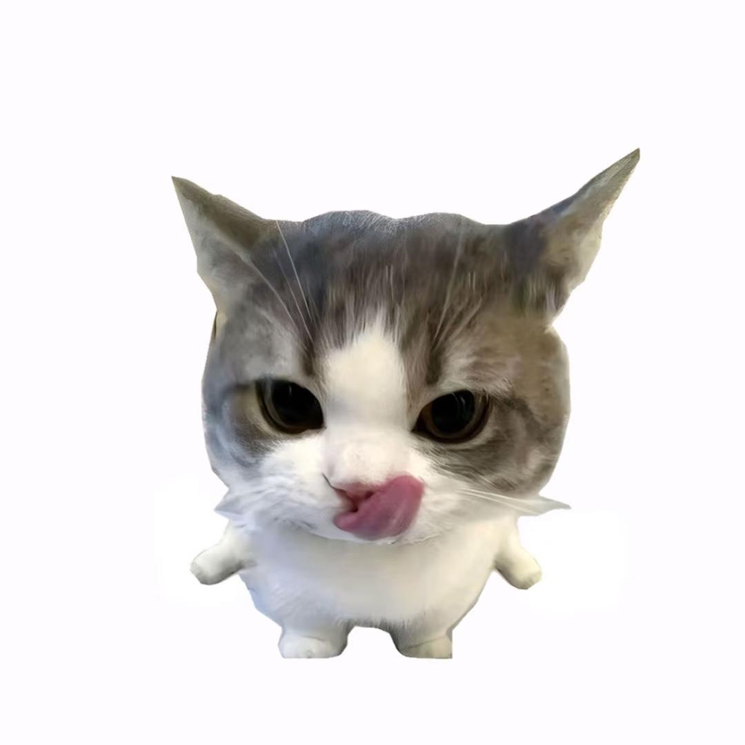 Wsssui