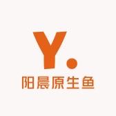 阳晨精选原生鱼