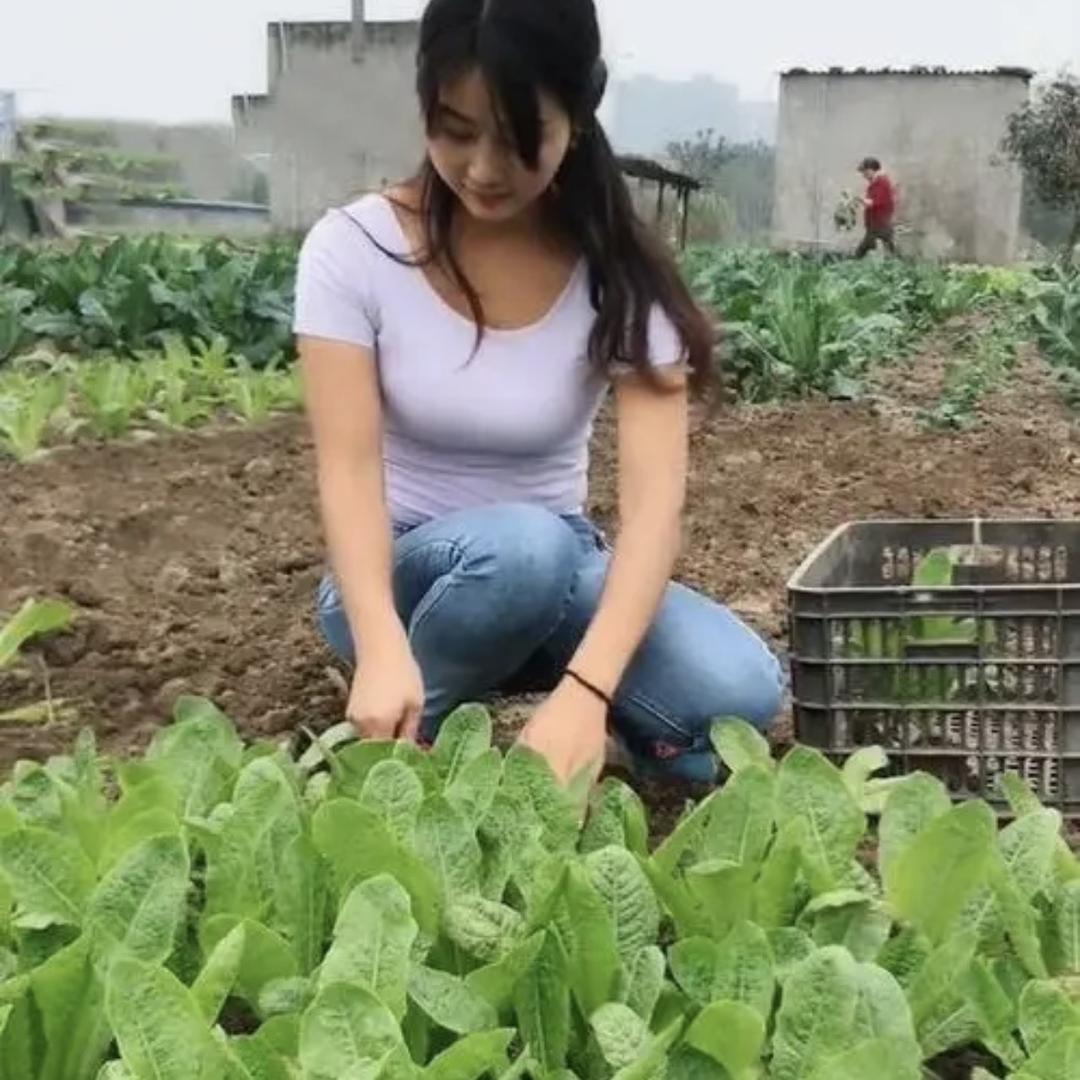 佳杨好物馆