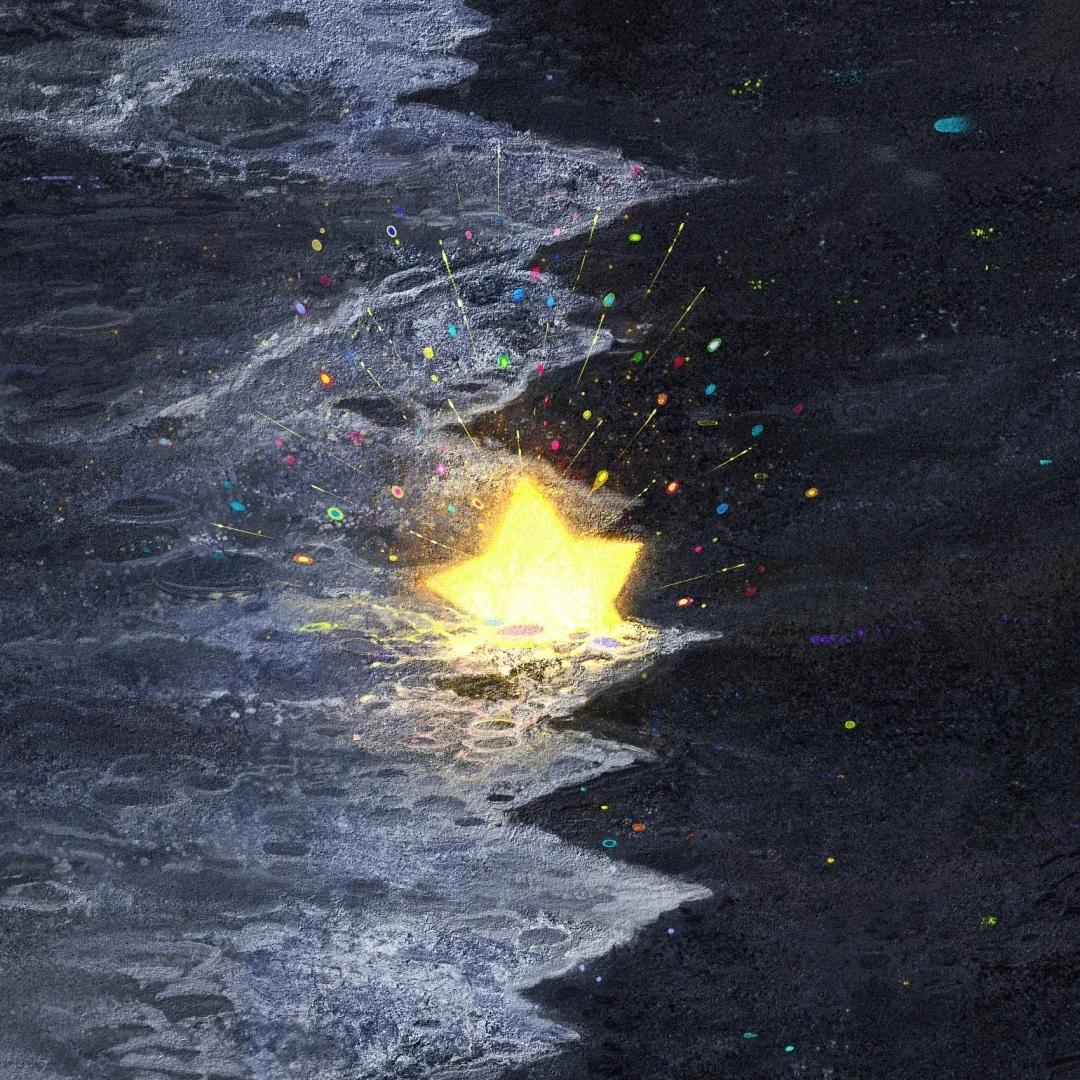 柚壳壳(手机壳)