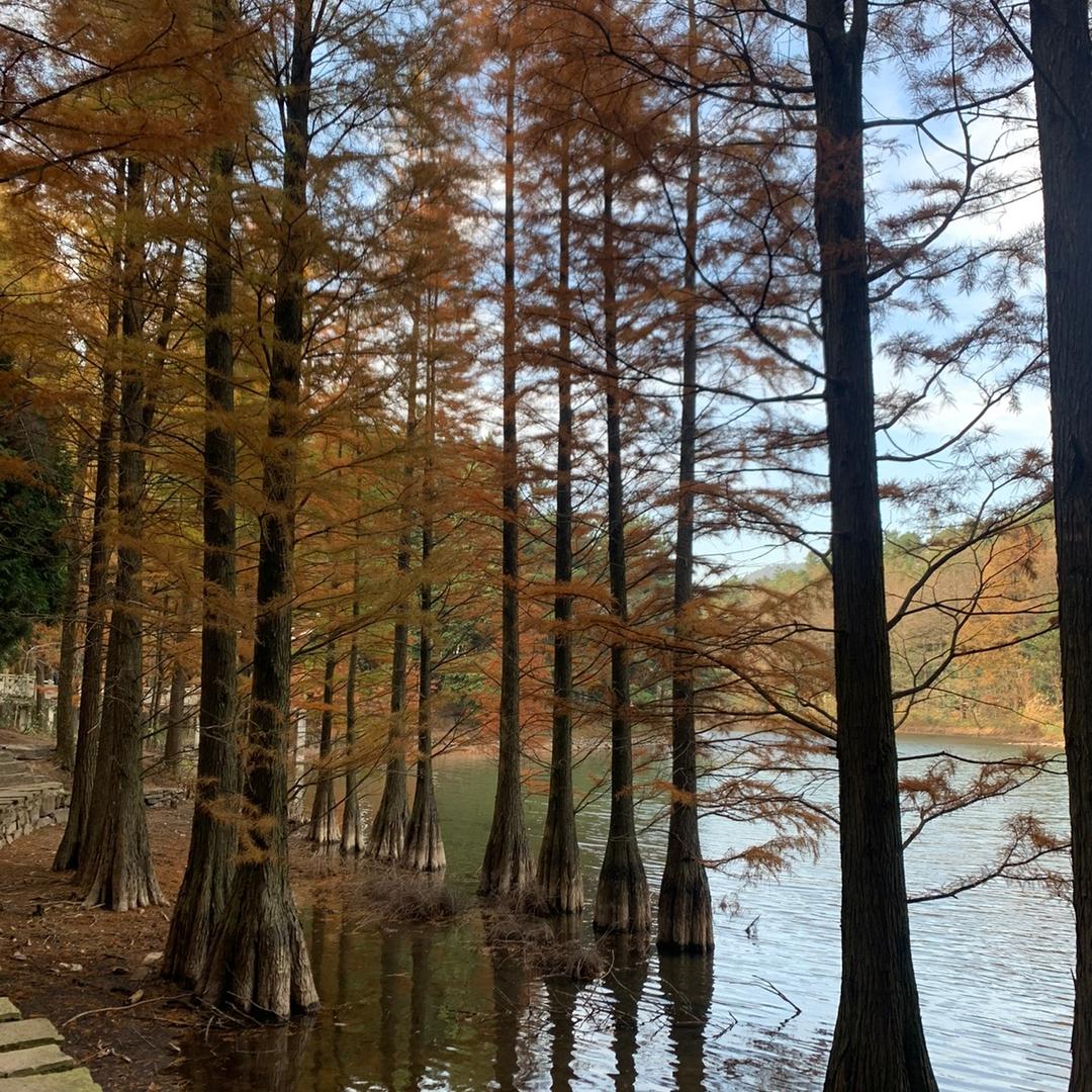 可惜：（不是你🎶）