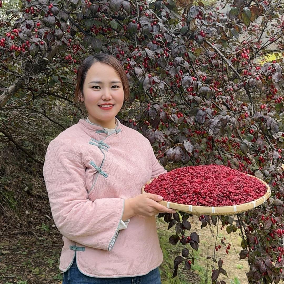 秦岭山货小小莉