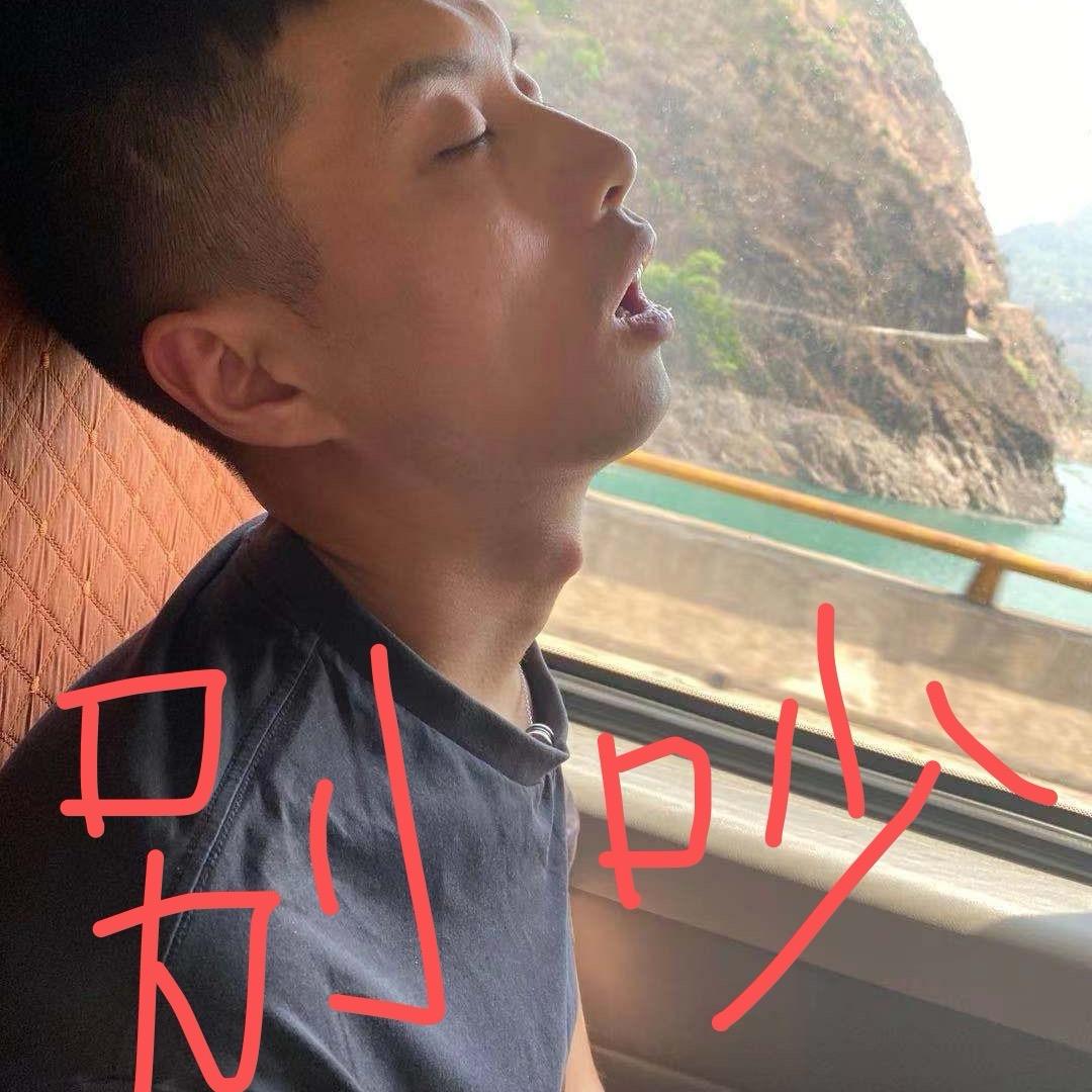 A🐯🐯