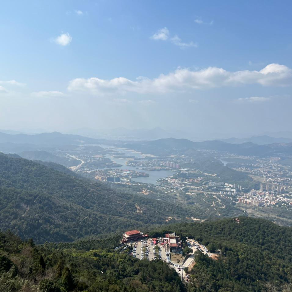 阿达子➕石花膏