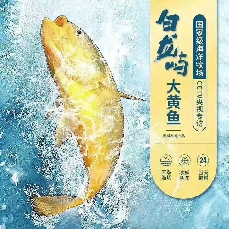 白龙屿.大黄鱼
