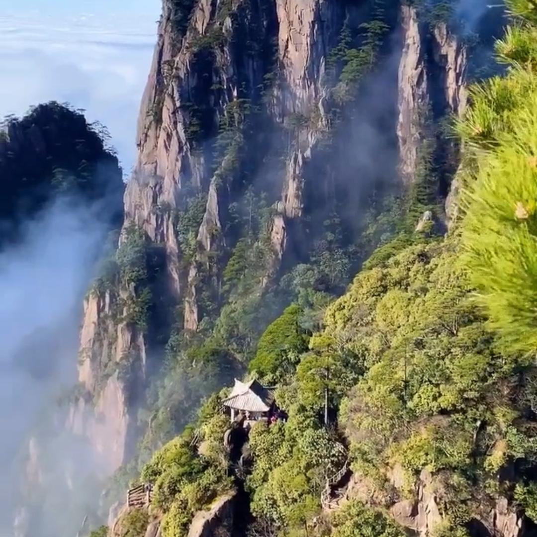 沙哥