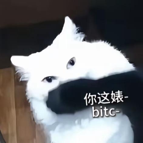 困（帮了了接小猪版）