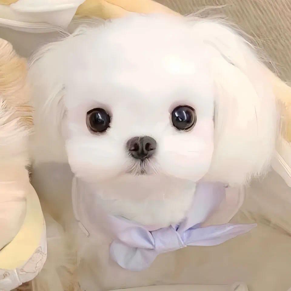 明天还会下雨吗