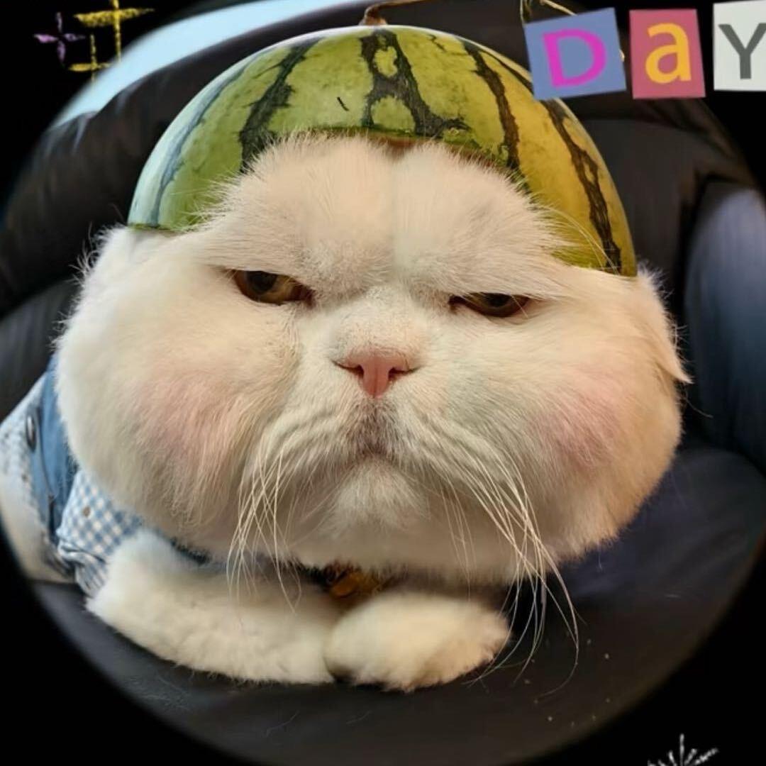 宗