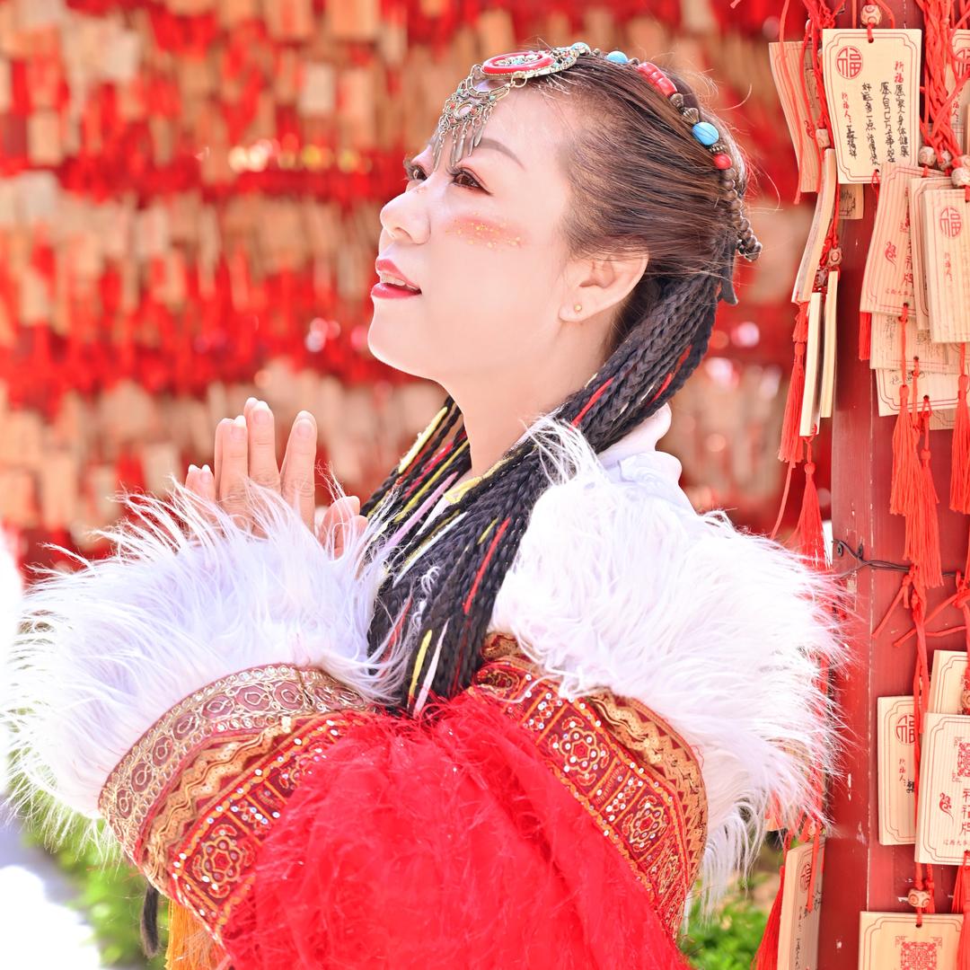 橄榄树