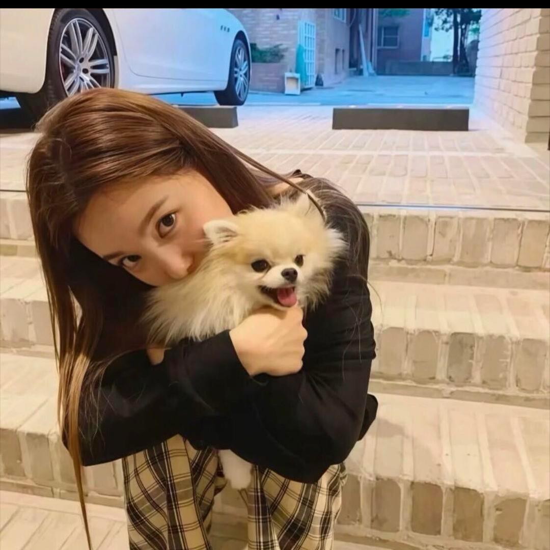 ㅤㅤㅤ  别因上学耽误玩