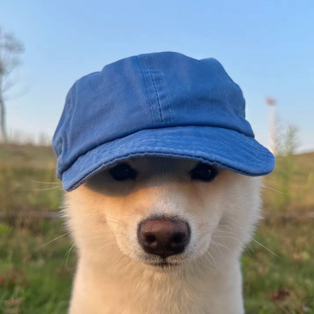 超级无敌世界第一会喷火的龙傲天