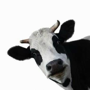 长的太帅被奖二百