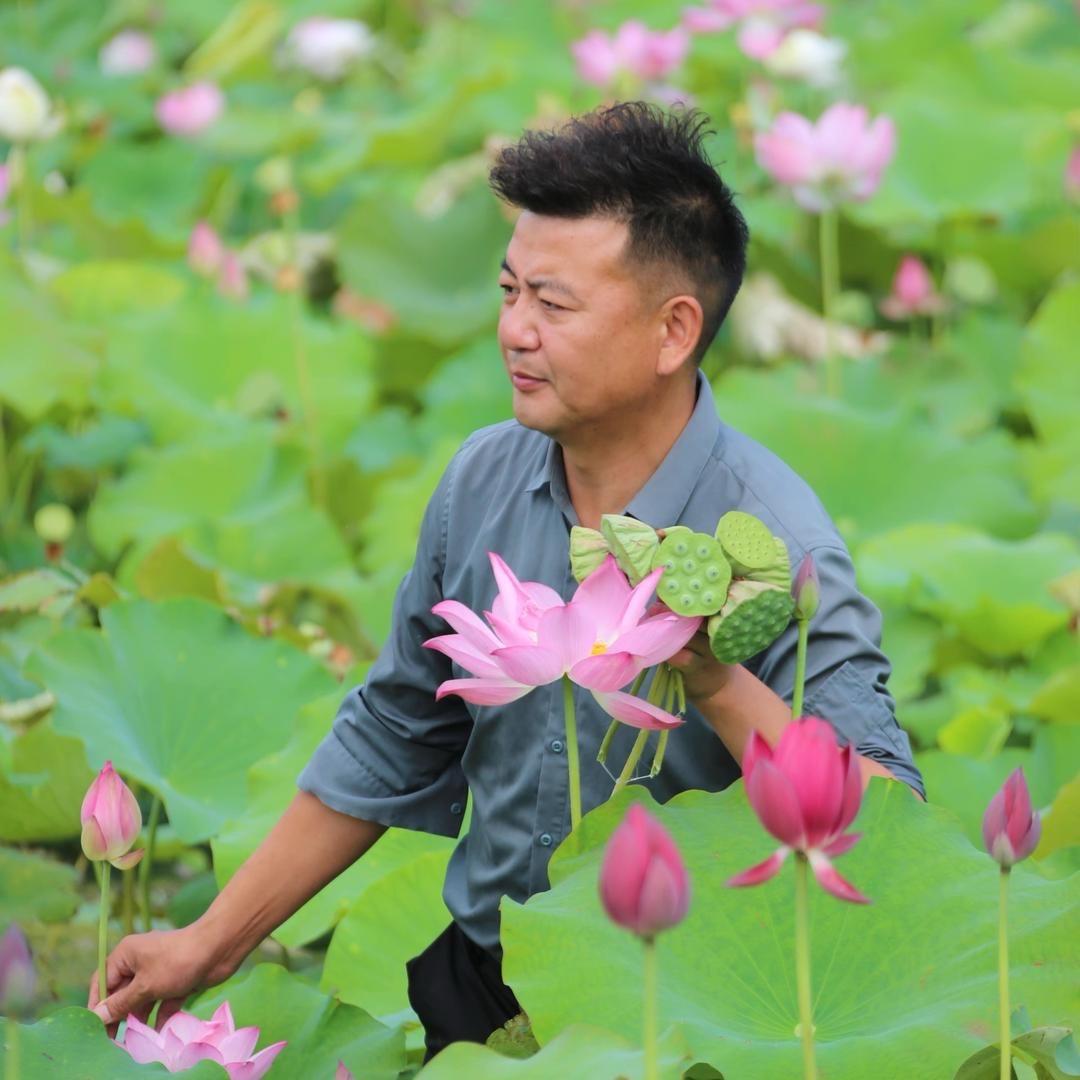 栗哥养荷花