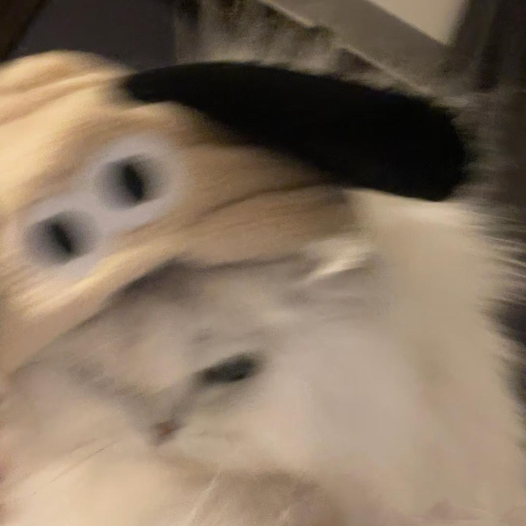 🫧