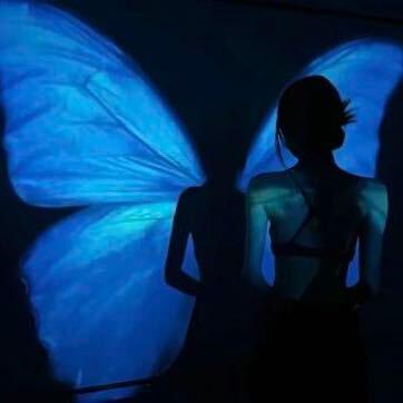 🦋lucky静