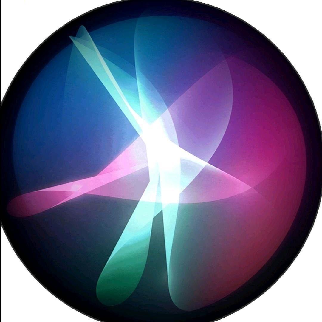 🕷️优雅永不过时🕷️