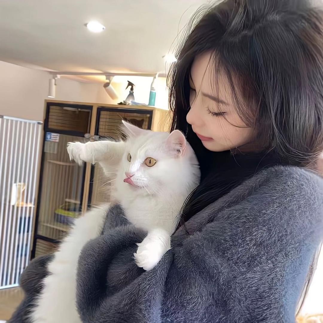 郁金香🌷