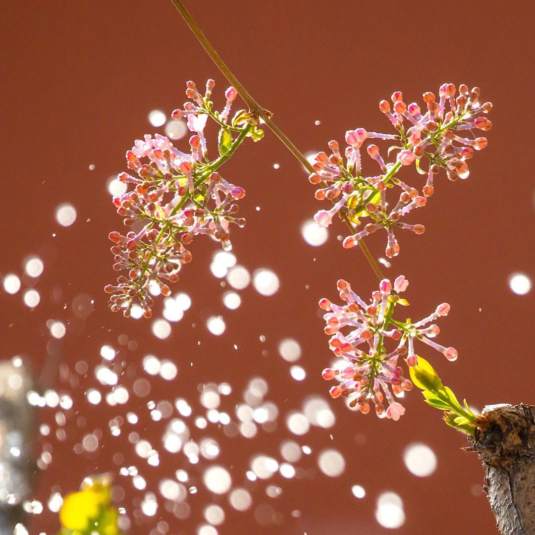 一脚踹飞不开心🦶🦶