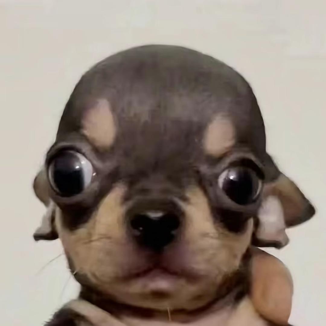 kp_1018