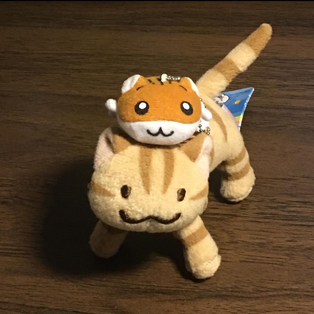 今天的事明天做