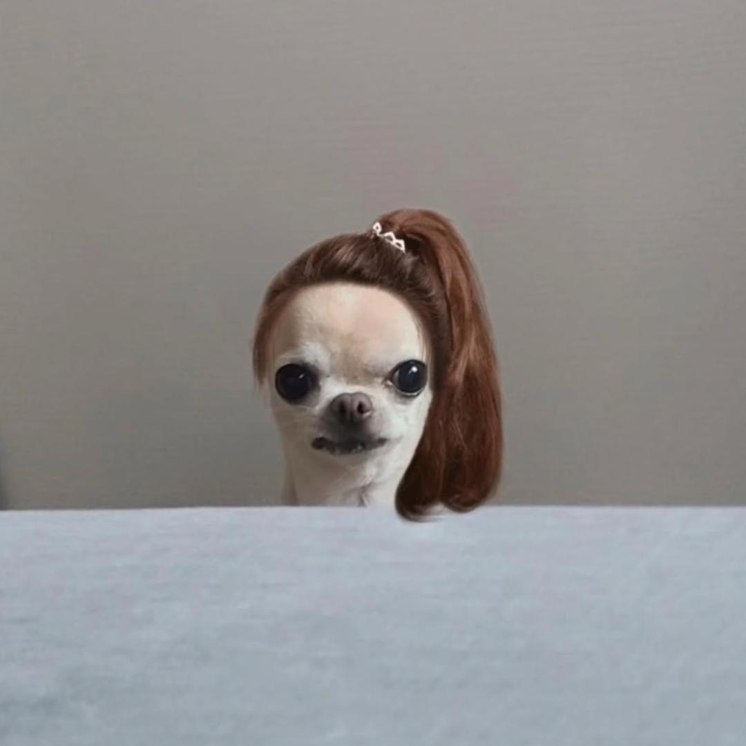 胡说八道