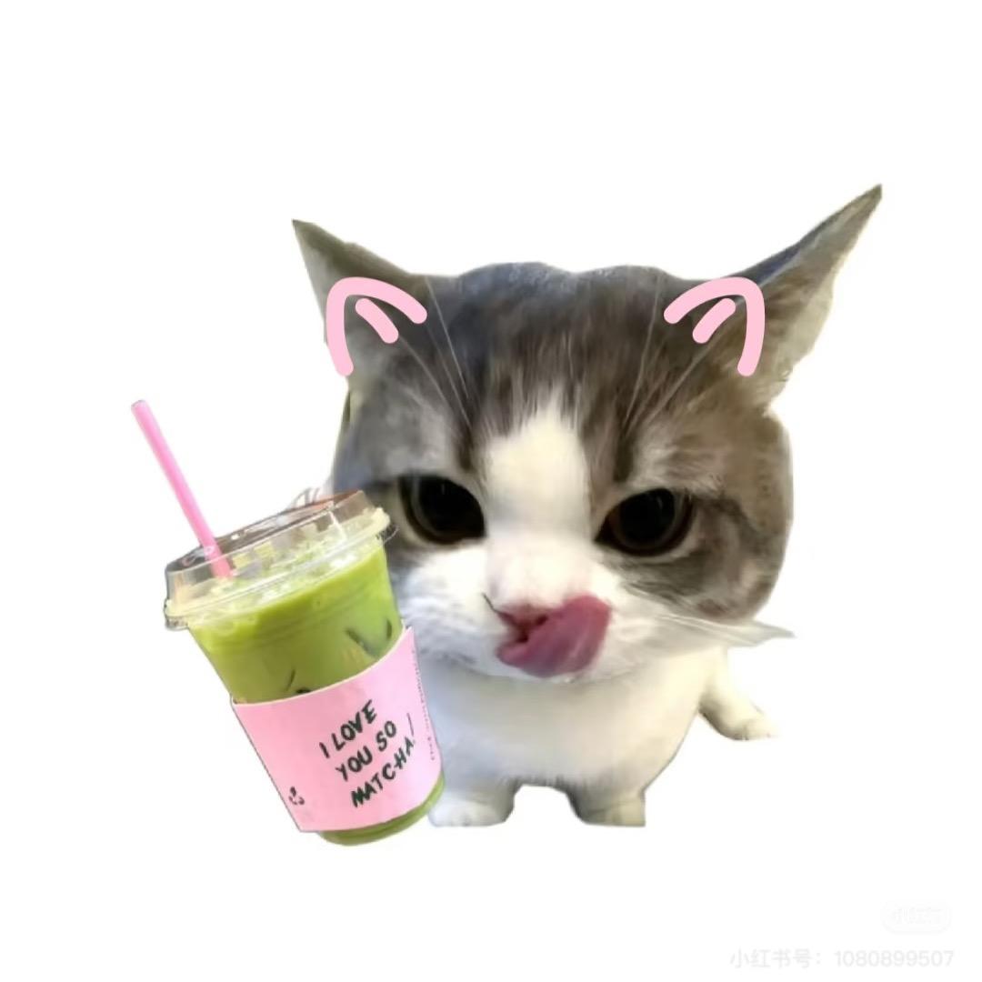 晨晨亿点杯