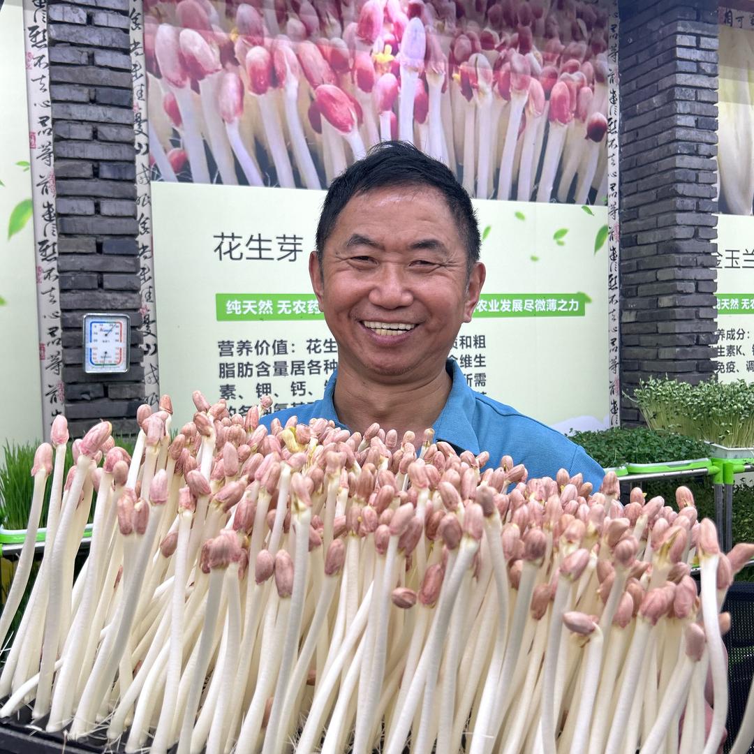 豪哥芽苗菜