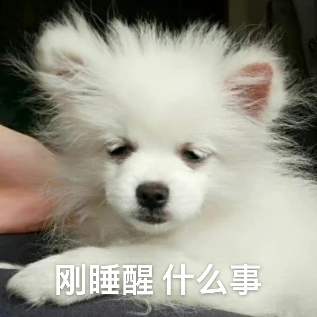 骨刺UZ