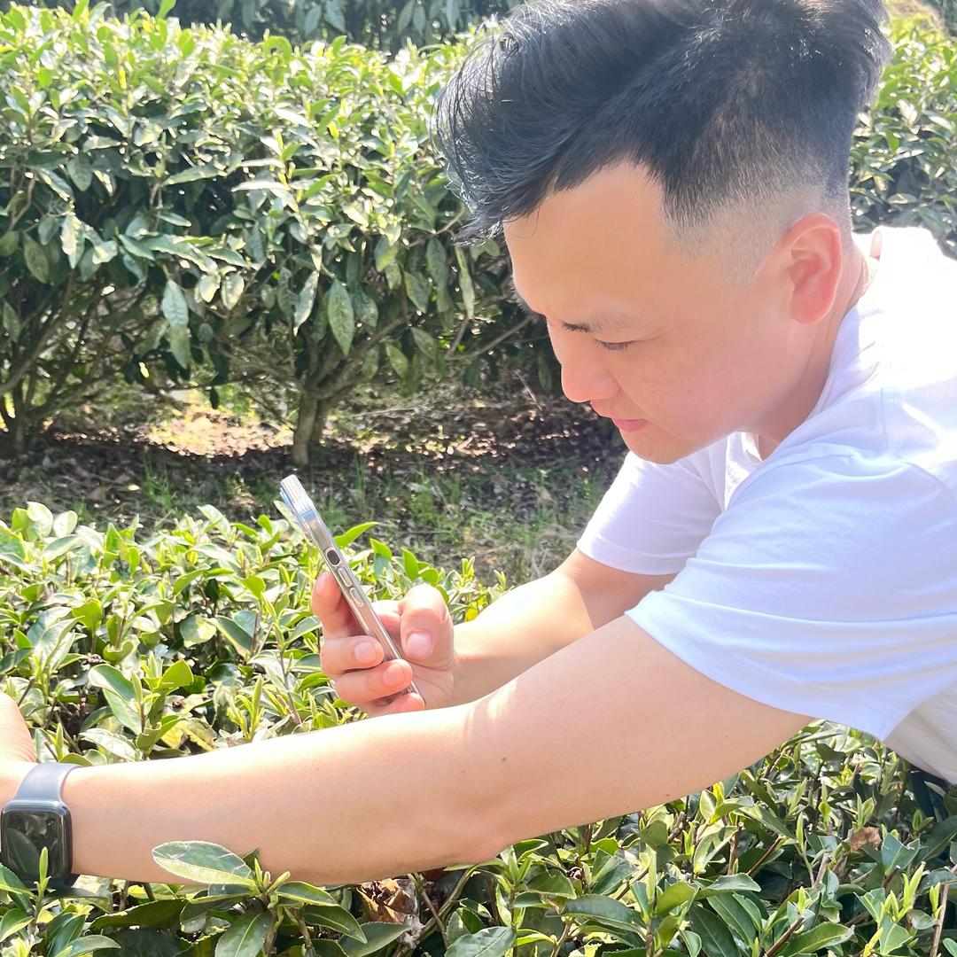 茶山行者阿峰茶庄