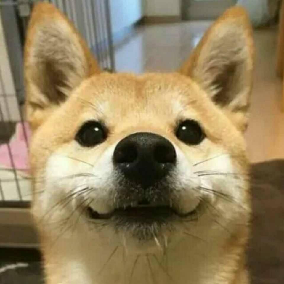 快乐8三年老店（派米中～）