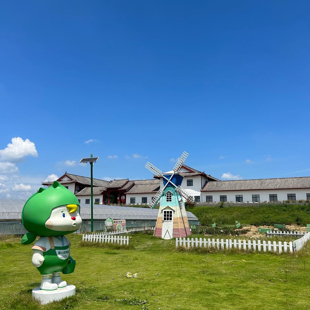 顺盈驾考咨询