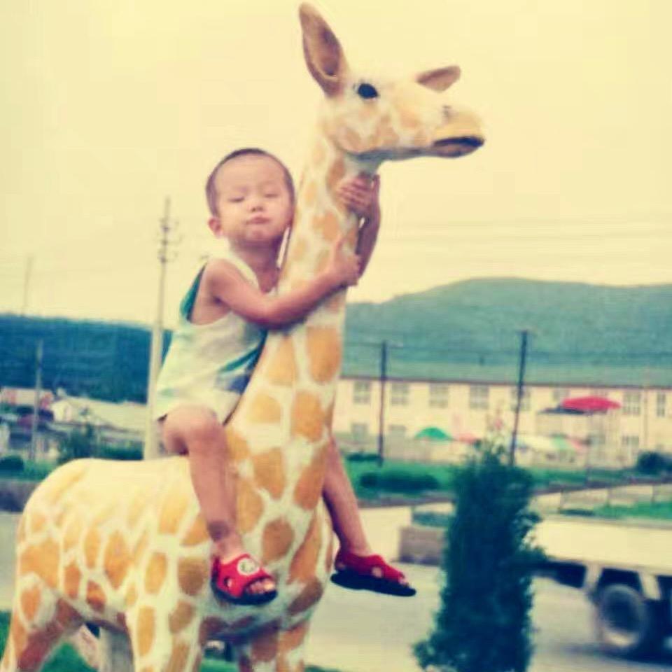 独角兽🦄