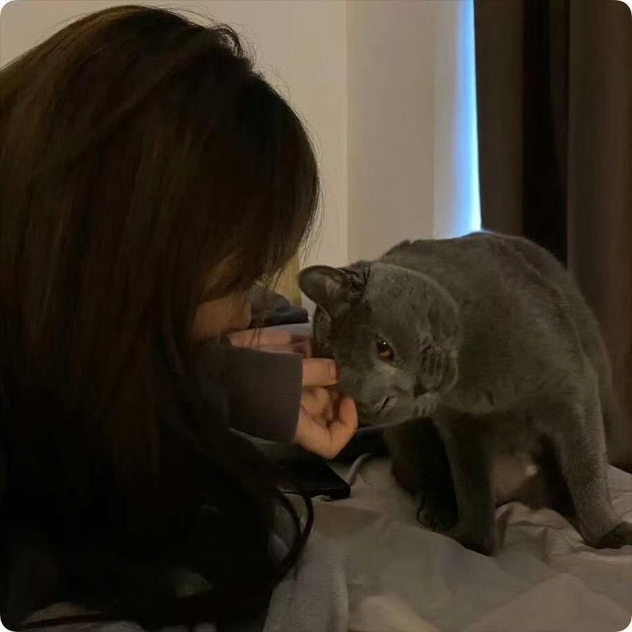 踹踹不会踹
