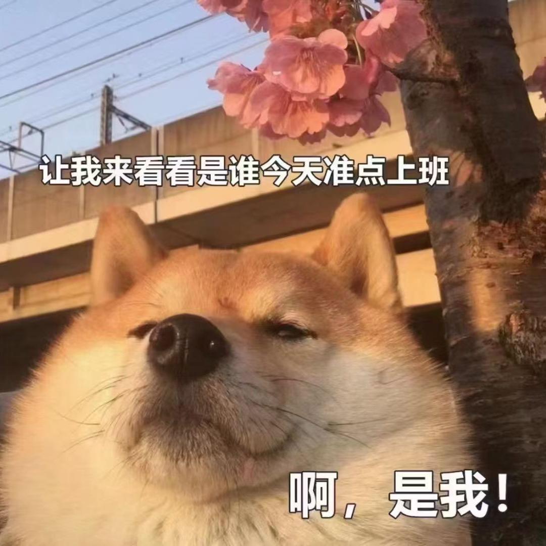 米加时代游泳小王