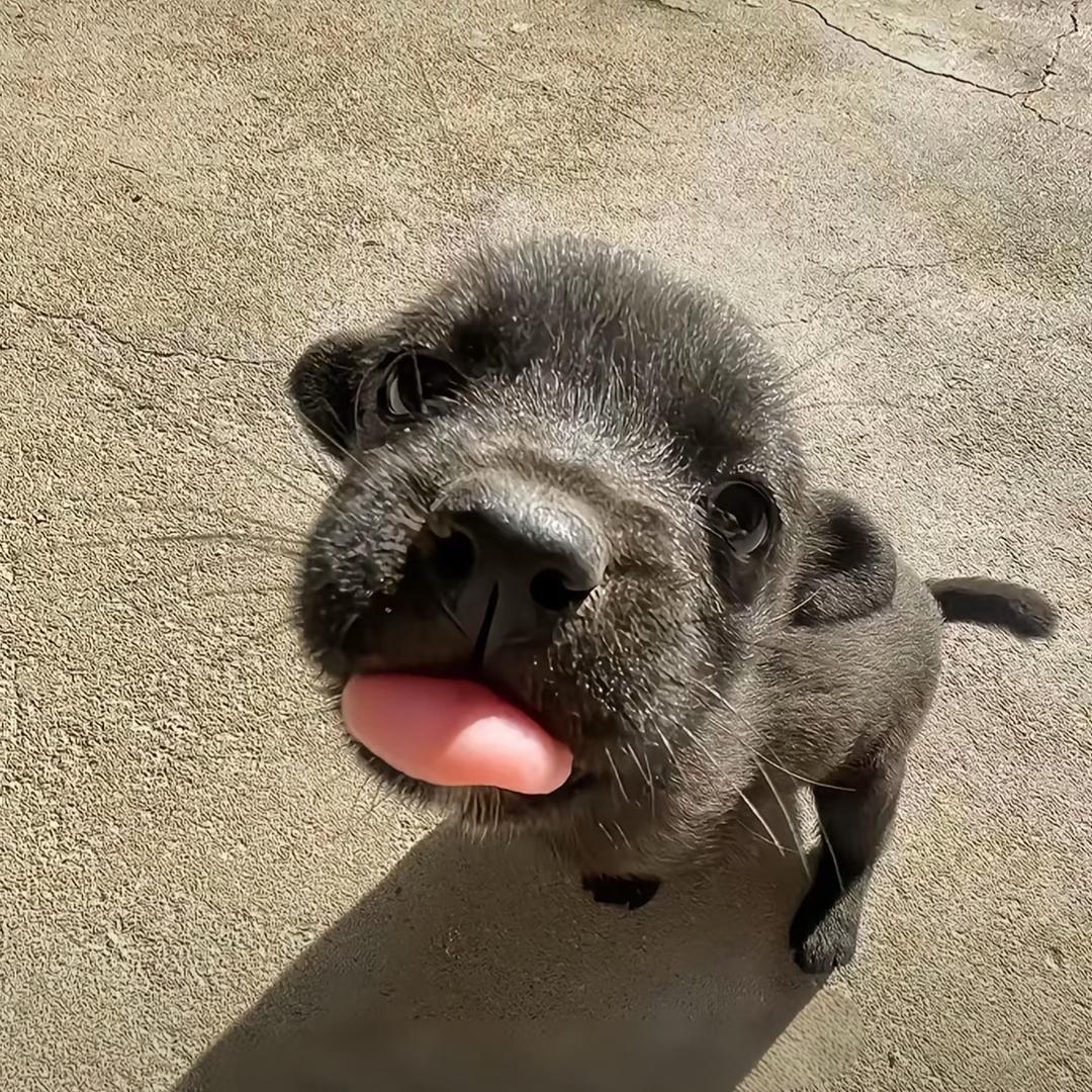 idontwannabeyouanymo