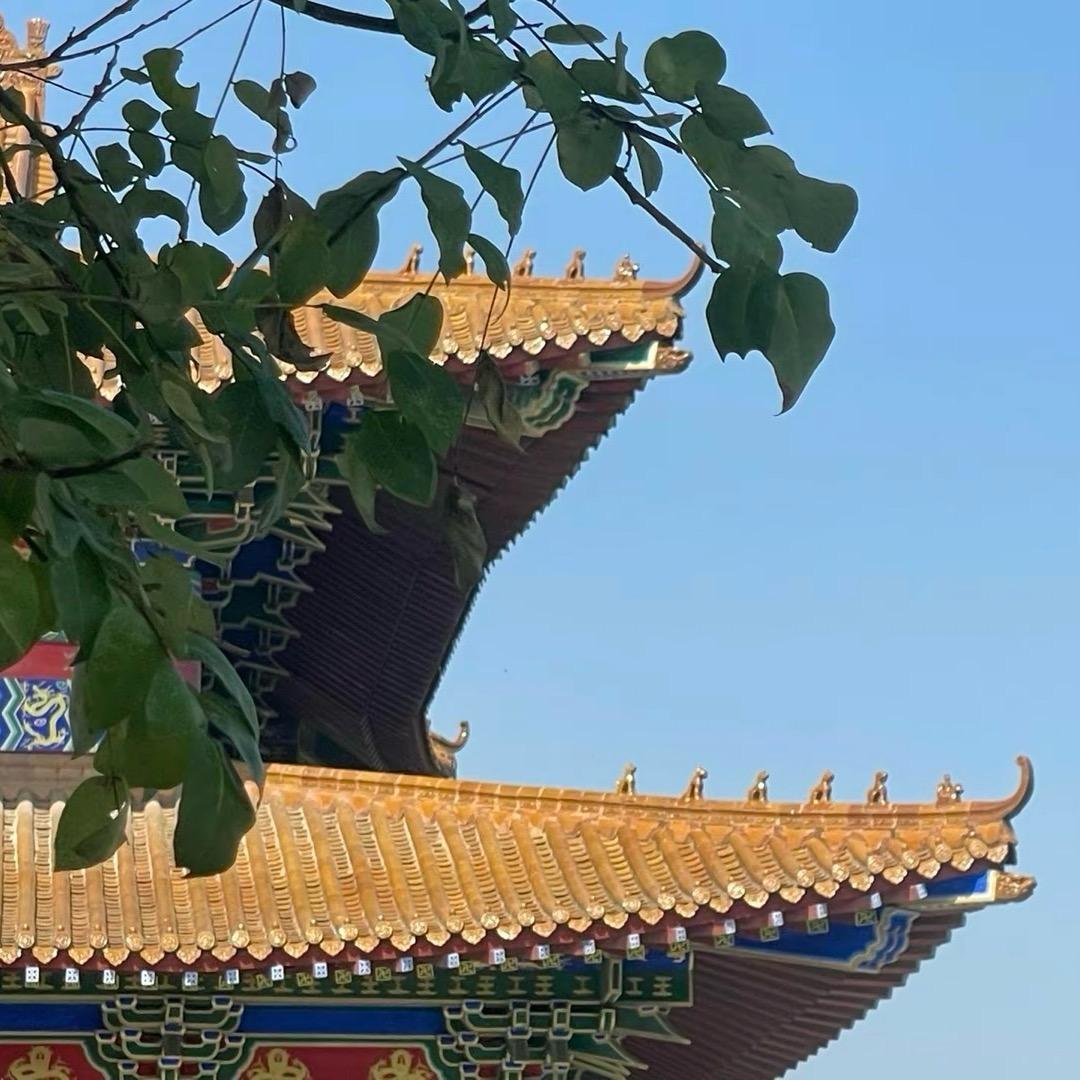 泓桉吖