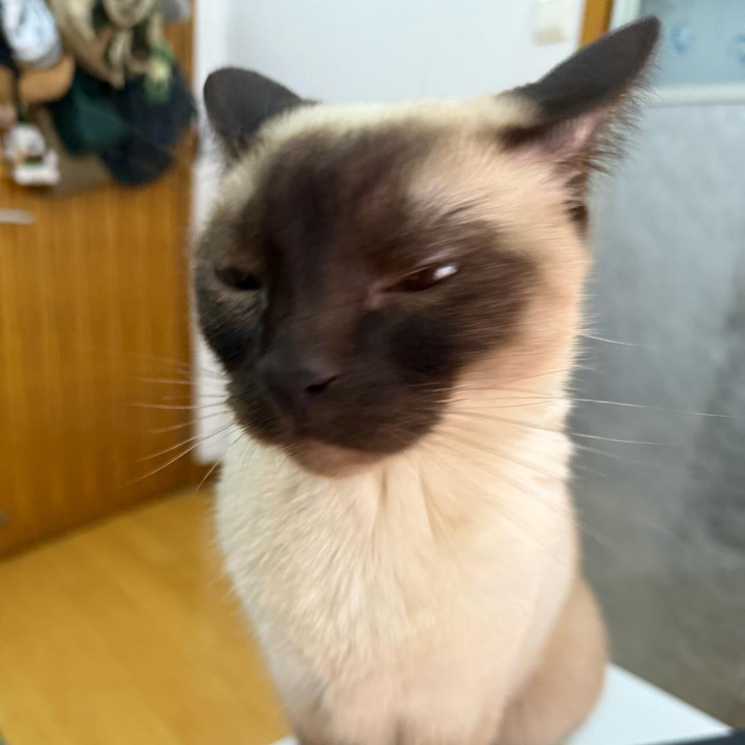 去他*的世界