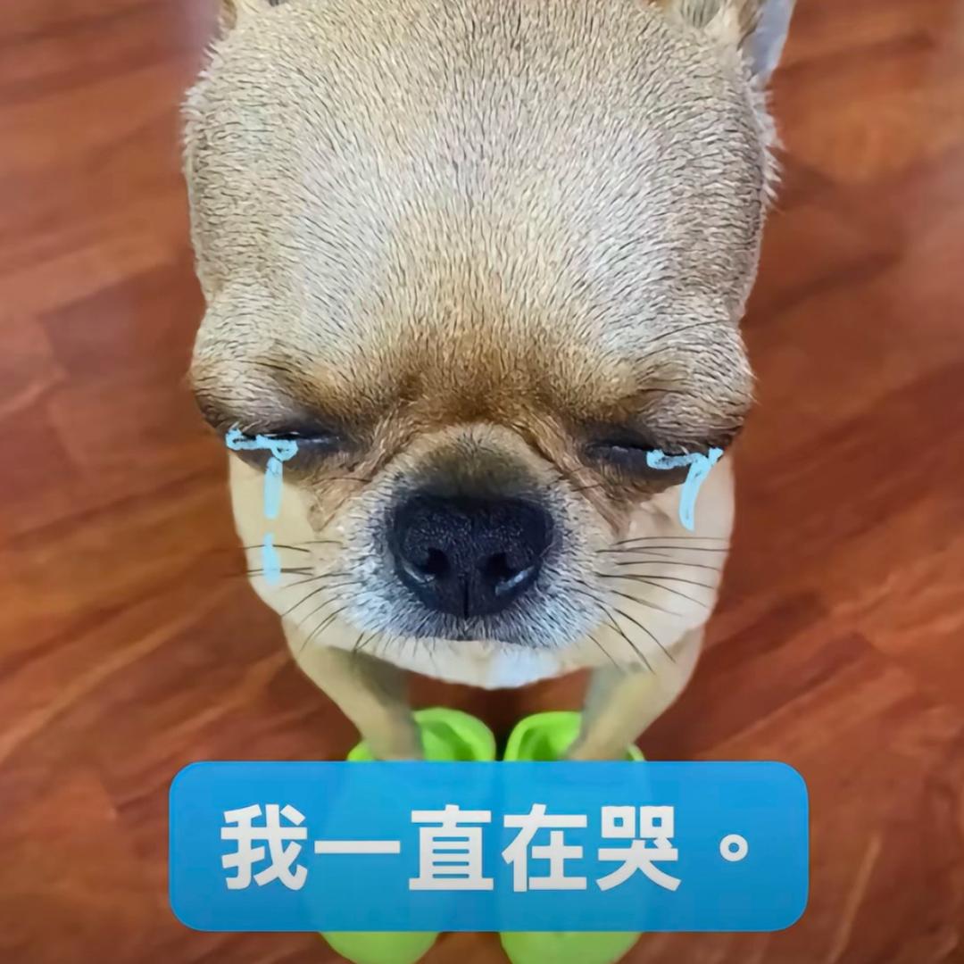 失极