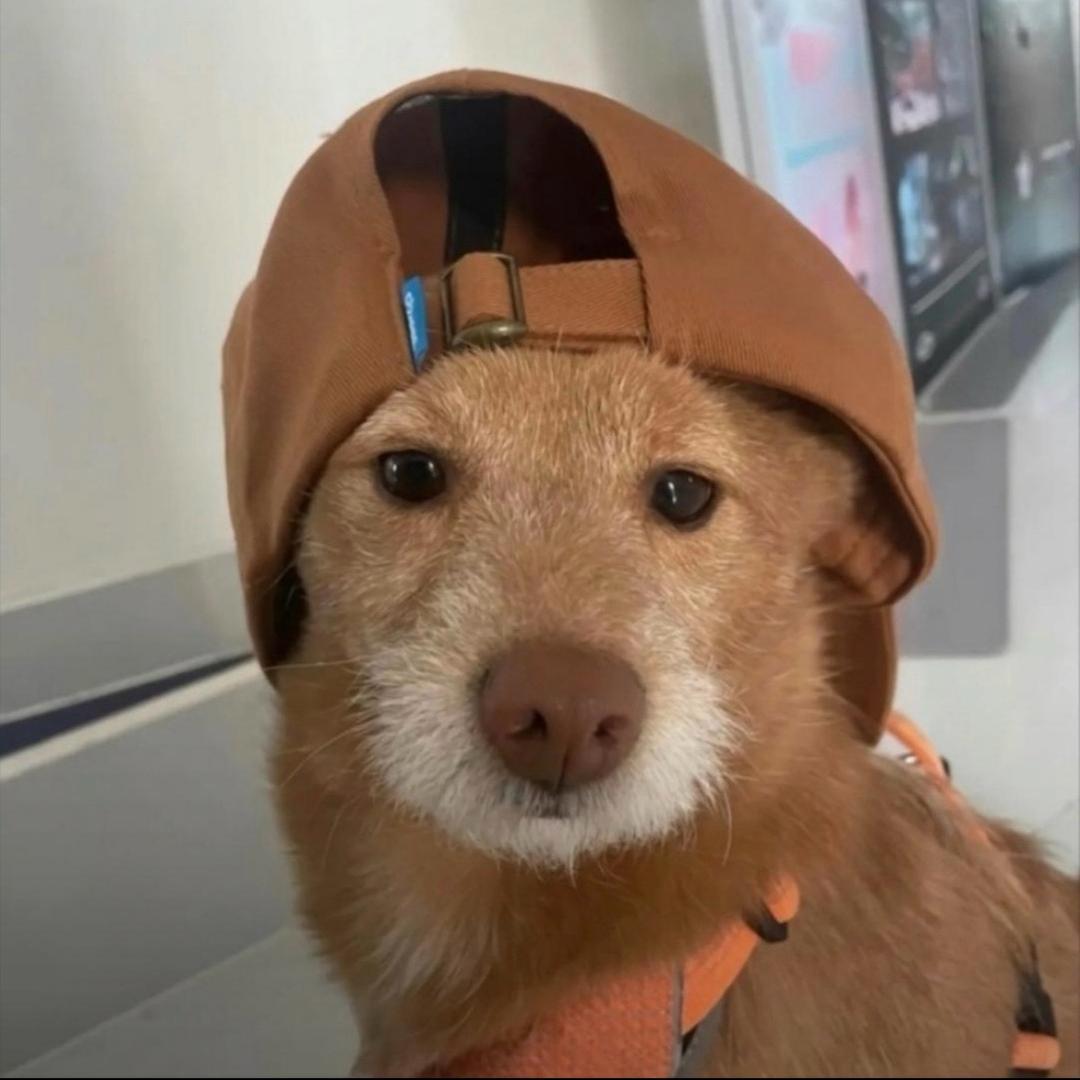 快乐烧烤屋屋长关音版@抖音