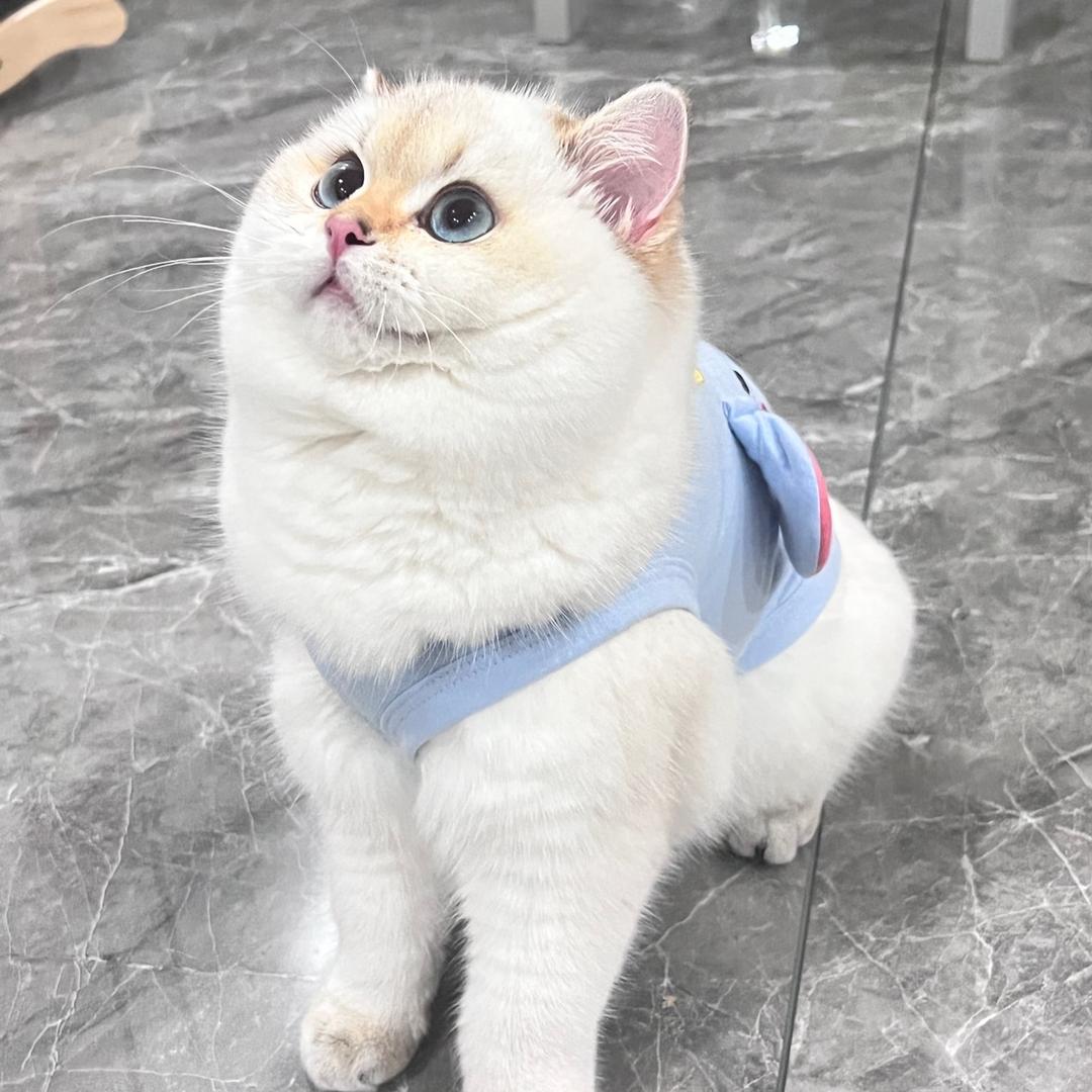 neinei不是奶奶