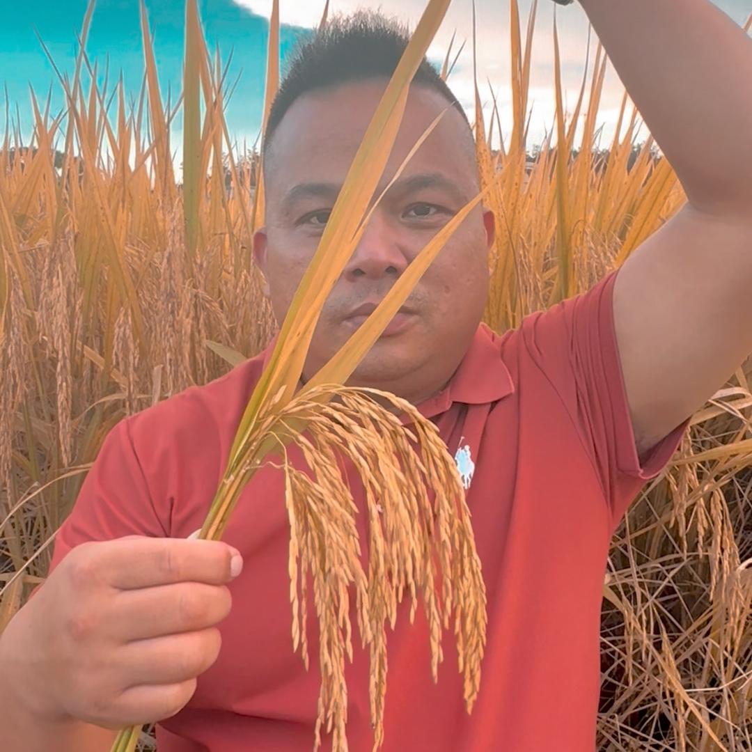 弹前乡村书记要搞事er