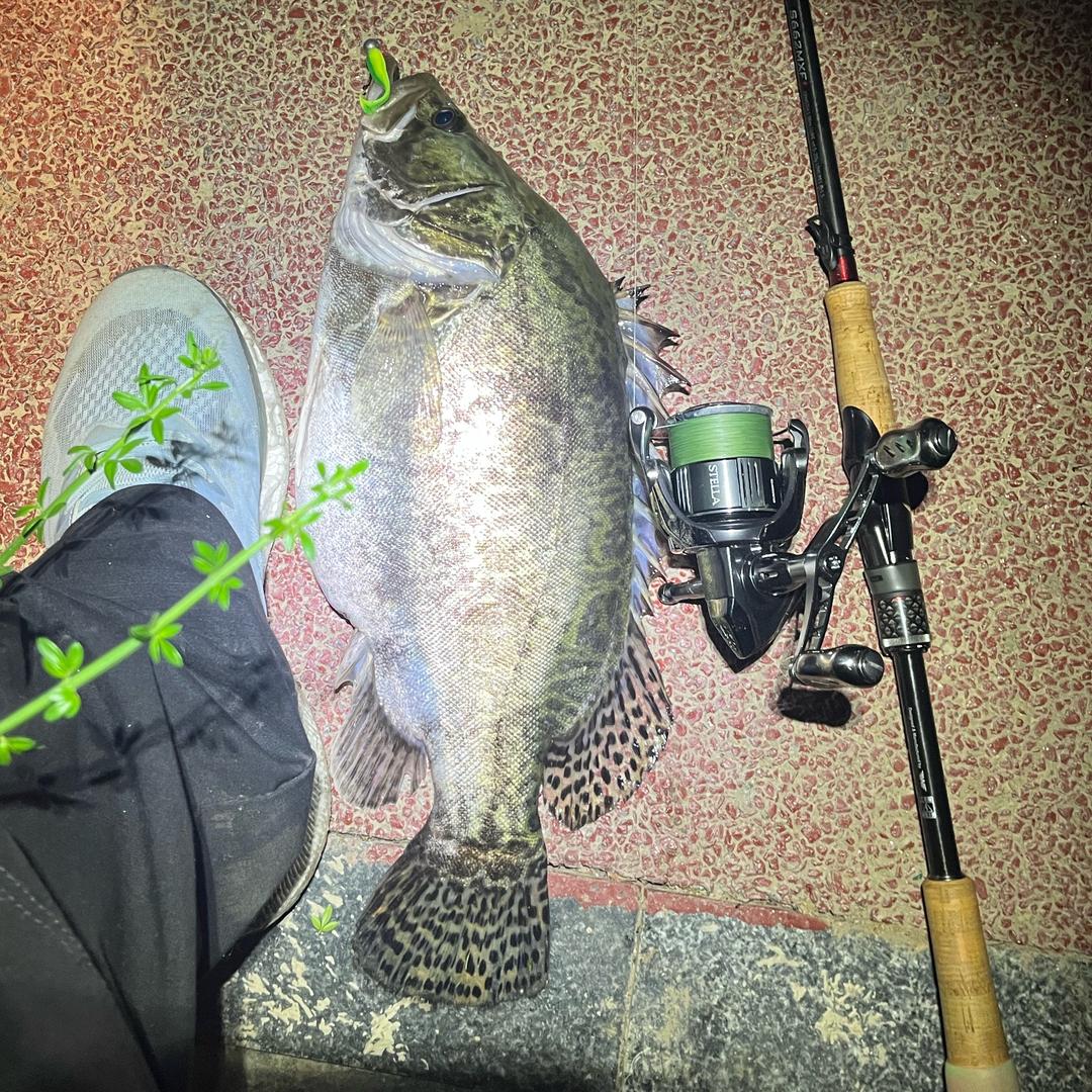 峰*🎣