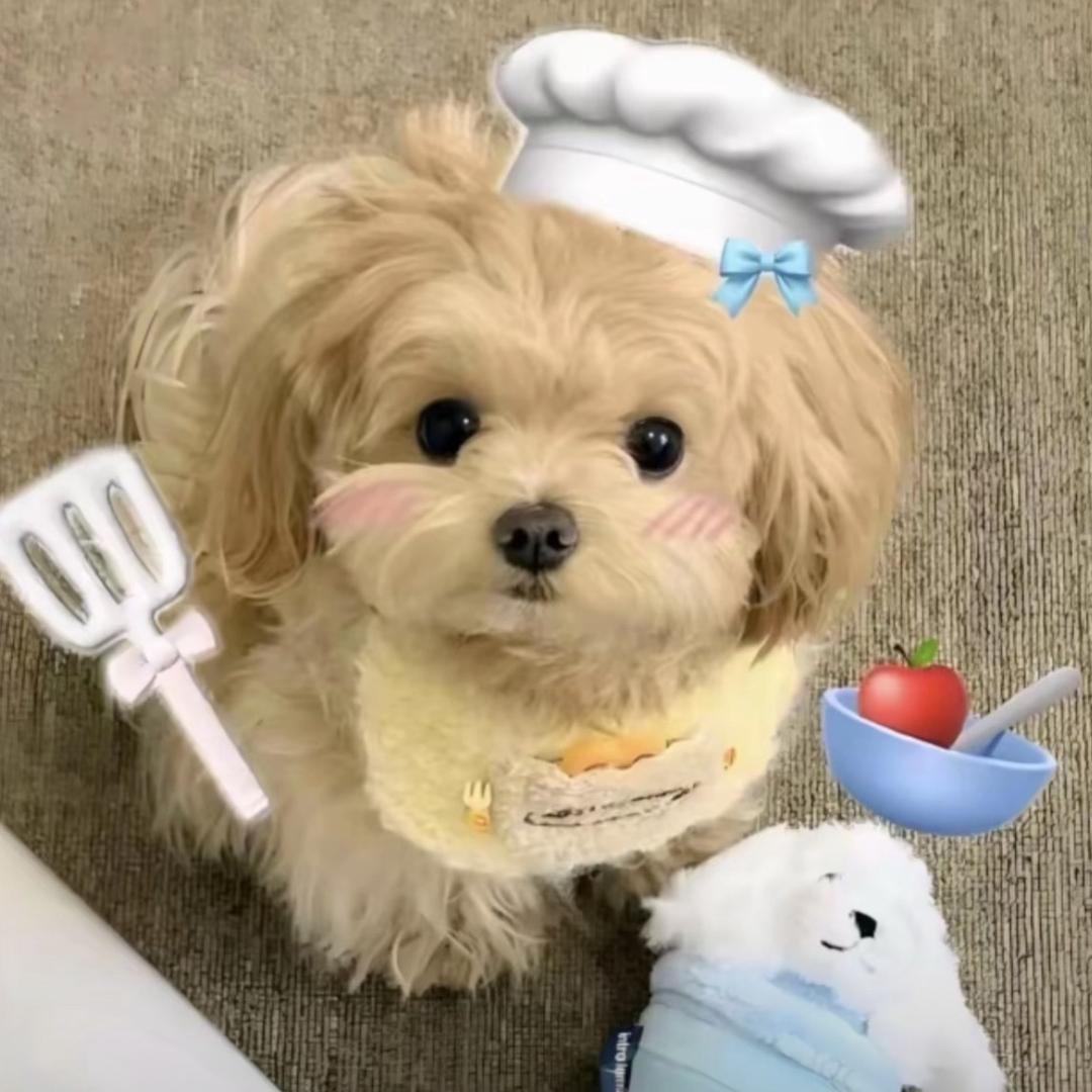 阳枝甘鹿🥦ᴿᙆ