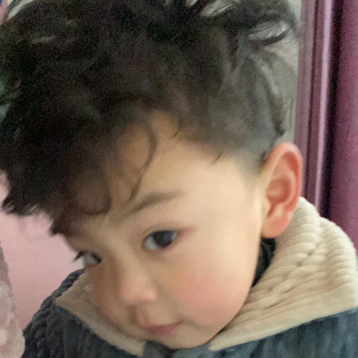 🐬海豚麻麻