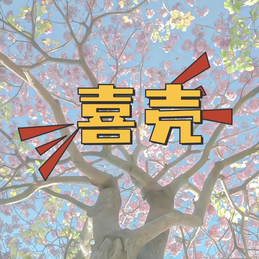 喜壳CASE